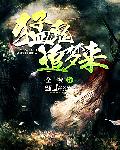 恋夜手机视频播放列表