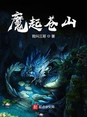ibw248迅雷下载