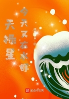 护宝风云电视剧全集