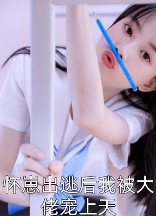 逍遥之旅小说