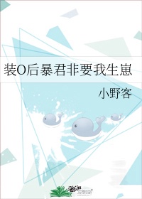 seo1短视频