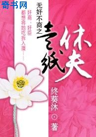 重生军嫂赌石空间