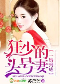 很h的小说