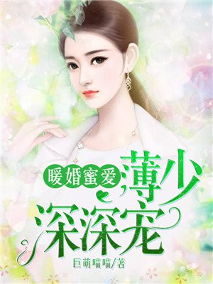多情剑客无情剑小说