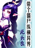 一级碟片放影
