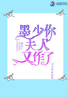 猫咪maomi手机版在线观看