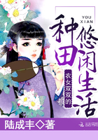 纳屋圣骑士耻辱改造