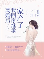 泰国电视剧一夫两妻