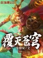 茄子视频wdnmdbilibili