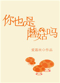一生一世电视剧免费观看