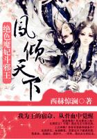 花途伴官途无删减下载