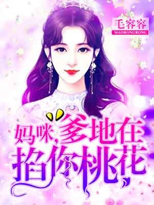 绝命律师第六季第六集