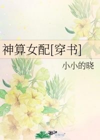 流星蝴蝶