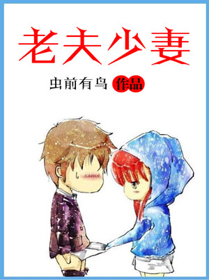 领导班子小说