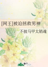 快点进来