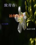 最近韩国直播视频