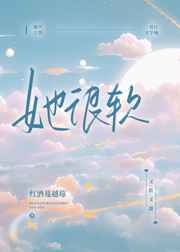 纯h 小说