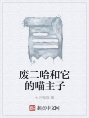 程刚夏思思