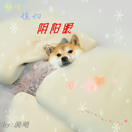18爱不爱之怦然心动
