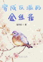 重生风起2024陆青云