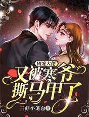 应彩蝶权倾城全文免费阅读无弹窗