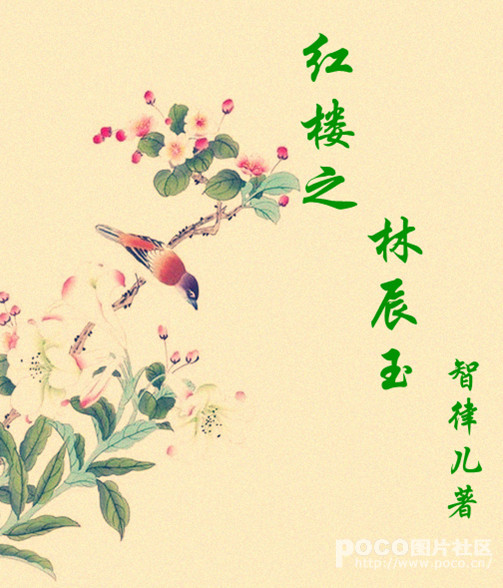 九草热播视频在线观看