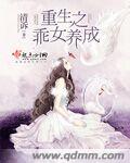 母乳片