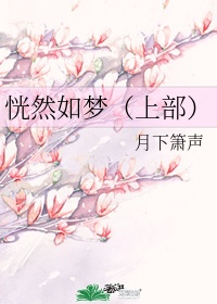 夜麟小说完整版
