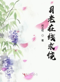 湿湿的小说