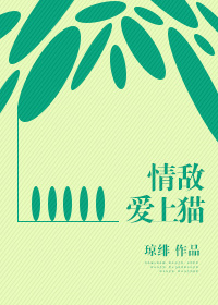 绝世武魂 小说