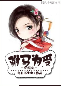 电视剧大宋提刑官