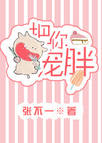 爱情公寓1免费观看