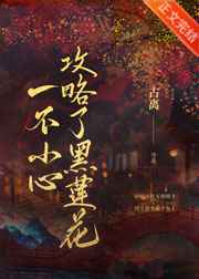 归去来电视剧