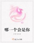 进进出出肉棒