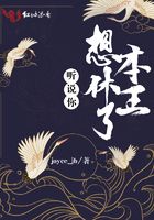 野良神第一季