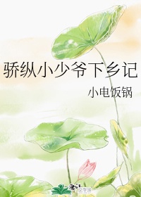 台湾无尺度情趣内衣秀