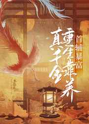 nice软件