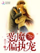 高级军妓
