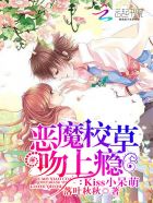 硅芯管