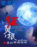 中国智网