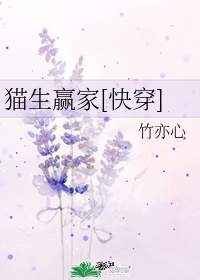 风流村妇