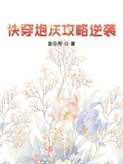 放羊的星星第二部电视剧