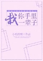 桥本有菜所有作品封面