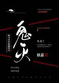 金装的维尔梅