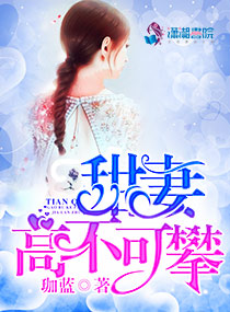 征服电视剧免费观看