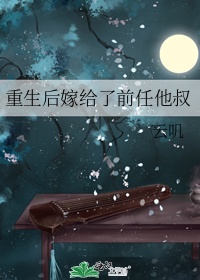 高速公路封路查询