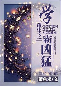 岁月小说