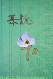 性色按摩