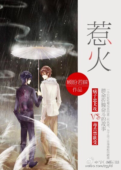 四房播播在线观看