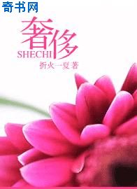 91网址在线观看